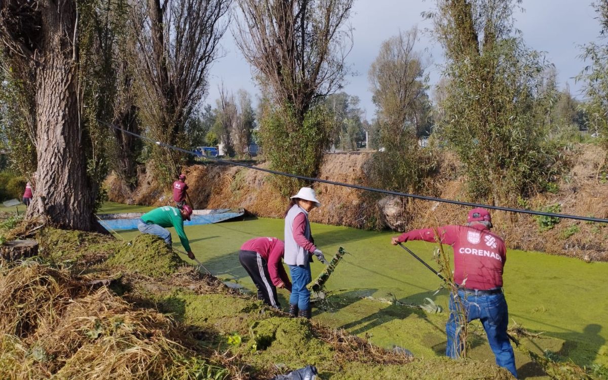 SCJN presenta tres sentencias que protegen al medio ambiente sano SCJN presenta tres sentencias que protegen al medio ambiente sano