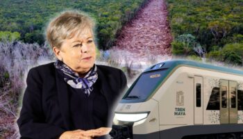 Se busca que Tren Maya no destruya nada más; Alicia Bárcena promete evaluar su impacto