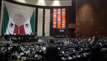 Sin plurinominales hay riesgo real exclusión de todas las minorías: Sonnleitner | Entérate