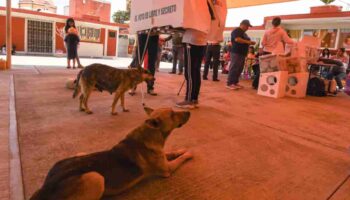 ¿Quién va ganando la gubernatura en Morelos? Sigue aquí el PREP