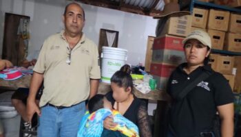 Niño de 4 años fue secuestrado por su prima en Veracruz