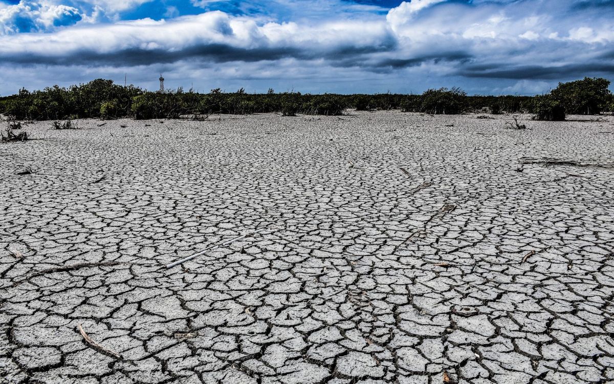 Tamaulipas: ciclón tropical provoca más esperanza que miedo, ante sequía