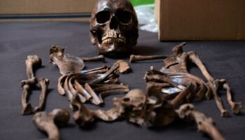 Restos humanos hallados en el AIFA revelan huellas de vida prehispánica