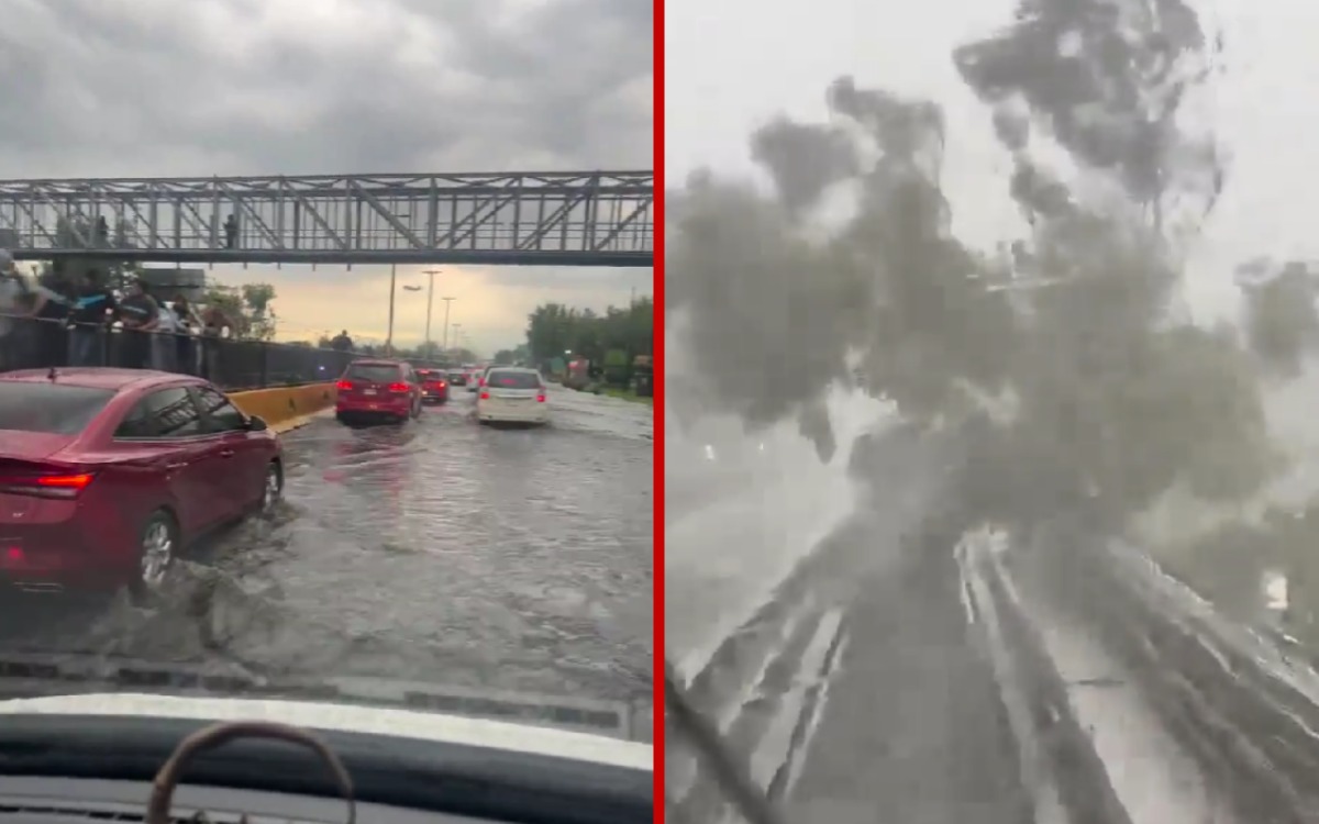 ​Lluvias en la CDMX causa estragos en el AICM y Metro | Videos