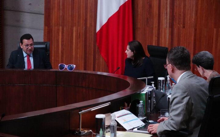 Tribunal Electoral definirá sexto integrante para validar la elección presidencial