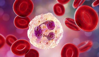El ejercicio podría ayudar a combatir el cáncer gracias a las células blancas  