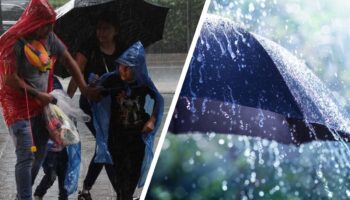 Nueva onda tropical traerá lluvias fuertes en 25 estados del país