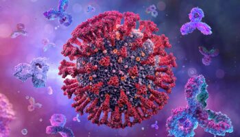 'No hay motivo de alarma' por casos de Covid-19 en México, asegura la Secretaría de Salud