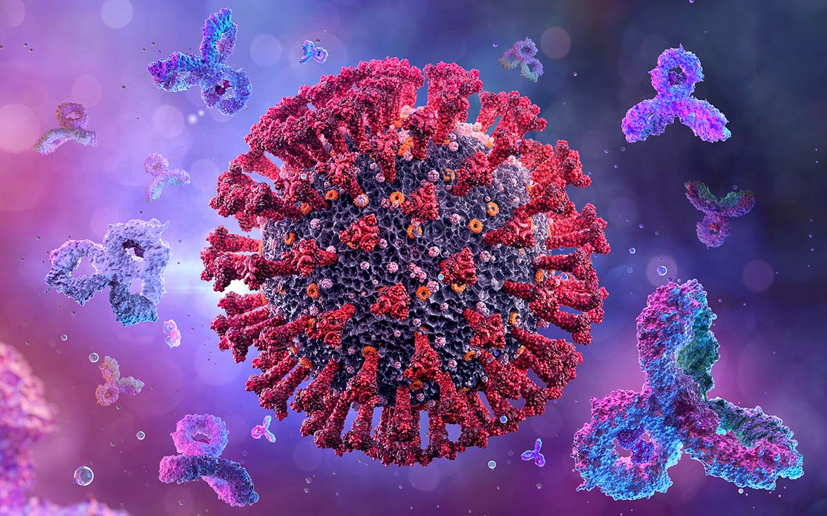 'No hay motivo de alarma' por casos de Covid-19 en México, asegura la Secretaría de Salud 'No hay motivo de alarma' por casos de Covid-19 en México, asegura la Secretaría de Salud