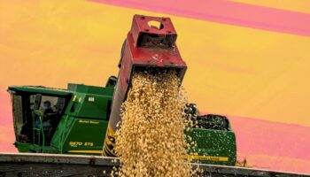 Berdegué se rinde ante los Cárteles Agro-financieros | Artículo de Alberto Vizcarra Ozuna