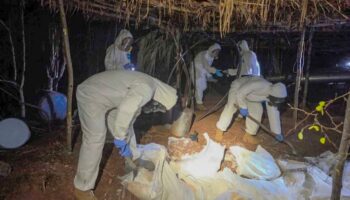 Destruir narcolaboratorios se ve como un éxito, pero no se atiende el daño que se genera en ecosistemas frágiles: América Armenta | Entérate