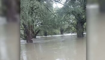 Sorprende falta de alerta por lluvias en Tamaulipas: Carlos Manuel Juárez | Video