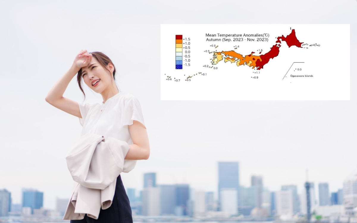 Heat wave wreaks havoc in Tokyo, leaving at least six dead and 200 hospitalised