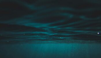 El fondo oceánico produce su propio oxígeno: estudio