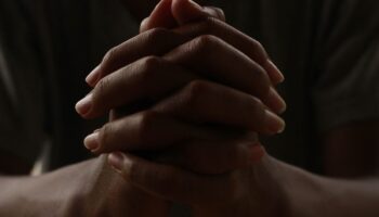 El papa canonizará al primer santo milenial probablemente en 2025