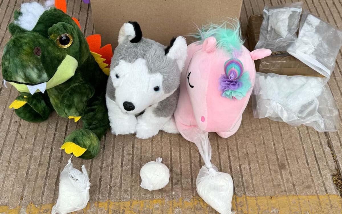 Guardia Nacional asegura droga oculta en muñecos de peluche en Sinaloa