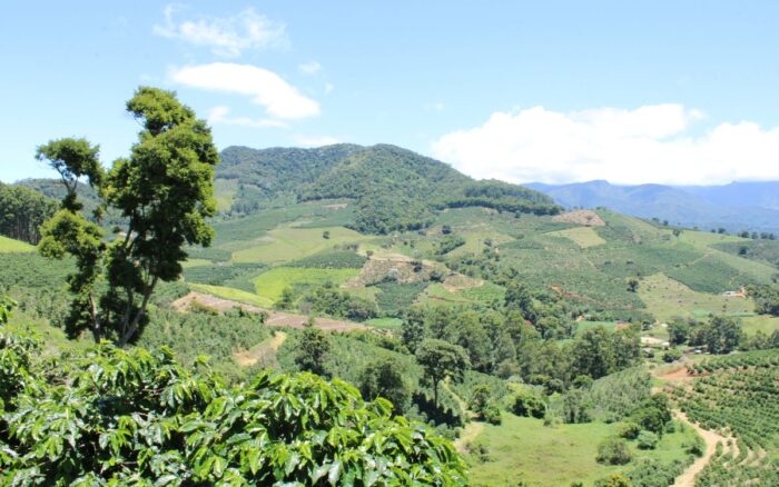regiones montañosas