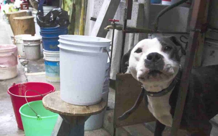 ¡Sin agua este domingo en CDMX! Habrá corte del suministro en estas alcaldías ¡Sin agua este domingo en CDMX! Habrá corte del suministro en estas alcaldías