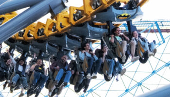 Six Flags quiere tirar 151 árboles para un juego; no hay permiso, dice gobierno