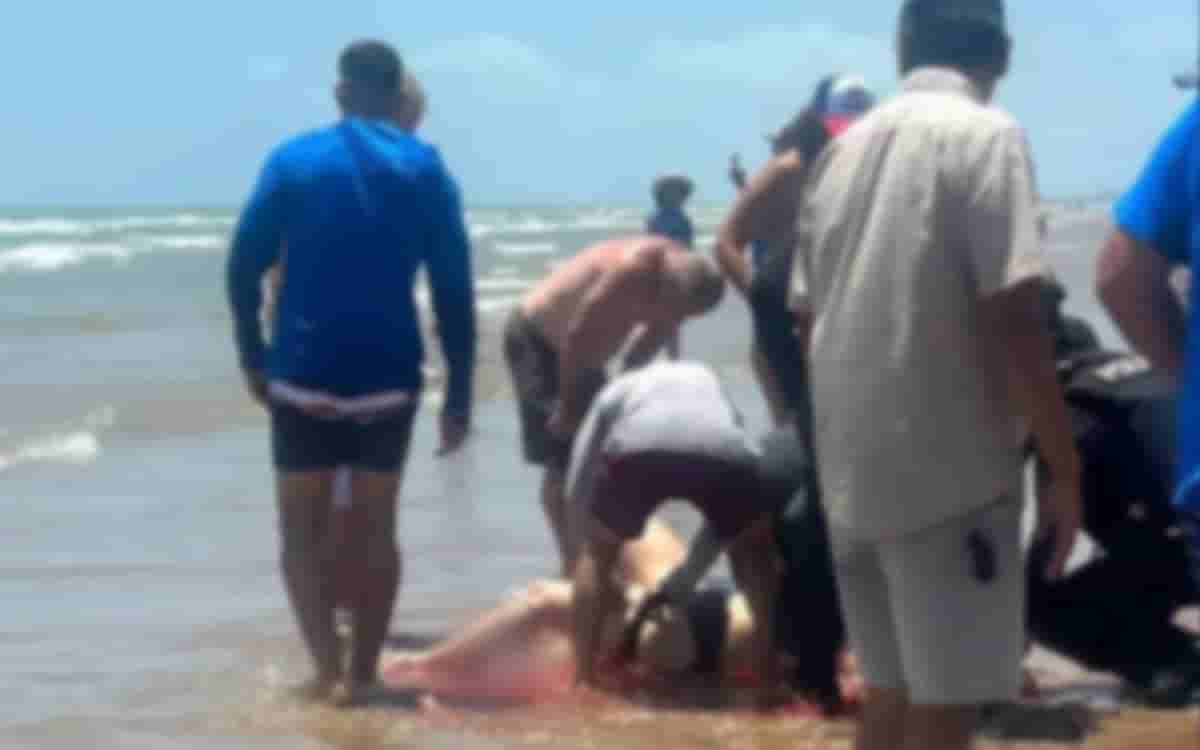 Video | Shark attacks people on Padre Island, Texas