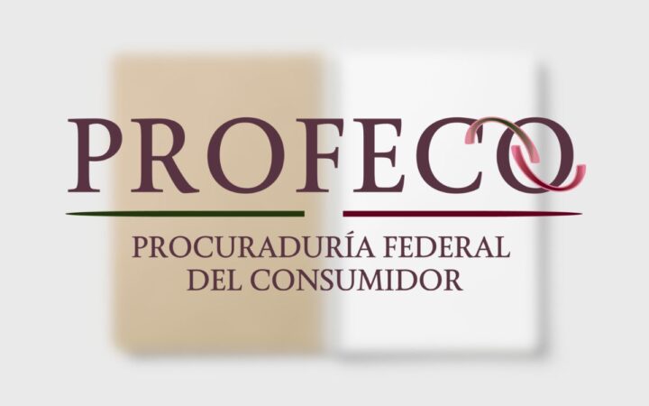 Estos cuadernos de hasta 24 pesos ofrecen la misma calidad que los de mayor precio | Profeco Estos cuadernos de hasta 24 pesos ofrecen la misma calidad que los de mayor precio | Profeco