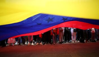 Unión Europea y 22 países piden verificación imparcial de resultados electorales en Venezuela