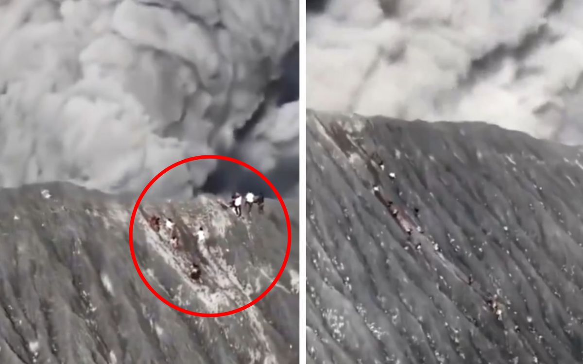 Video | Escaladores logran escapar con vida de gran erupción de volcán en Indonesia Video | Escaladores logran escapar con vida de gran erupción de volcán en Indonesia