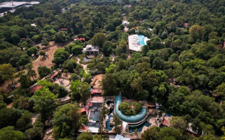 AMLO confirma fecha de inauguración de nueva sección de Chapultepec y línea 3 del Cablebús AMLO confirma fecha de inauguración de nueva sección de Chapultepec y línea 3 del Cablebús