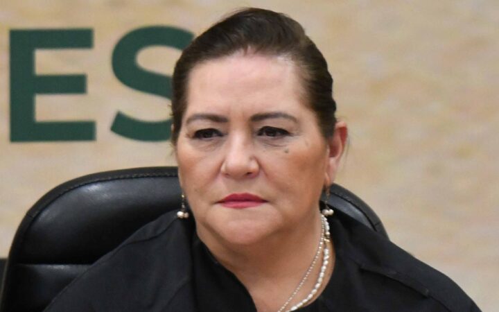 ‘Ninguna amenaza es bienvenida en el INE’: Guadalupe Taddei
