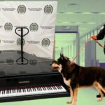 cocaina colombia pianos