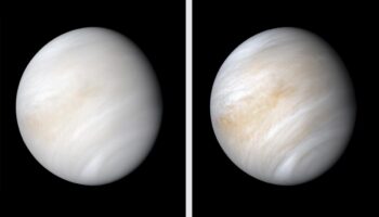 ¿Vida en Venus? Nuestro planeta vecino vuelve a ser objeto de debate