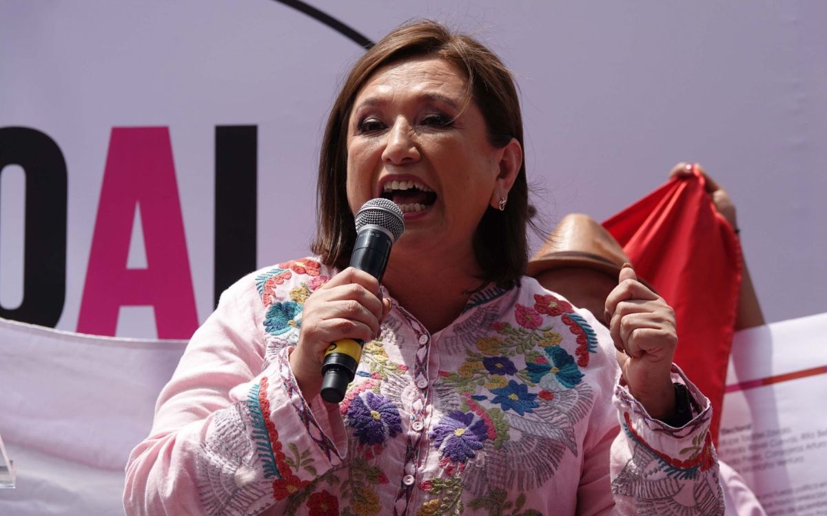 Xóchitl lanza 'guía' para impugnación ciudadana contra la asignación de curules en el Congreso Xóchitl lanza 'guía' para impugnación ciudadana contra la asignación de curules en el Congreso