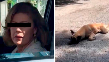 Video | Mujer arrastra a perro con su camioneta en Jalisco; 'me rayó mi camioneta', justifica