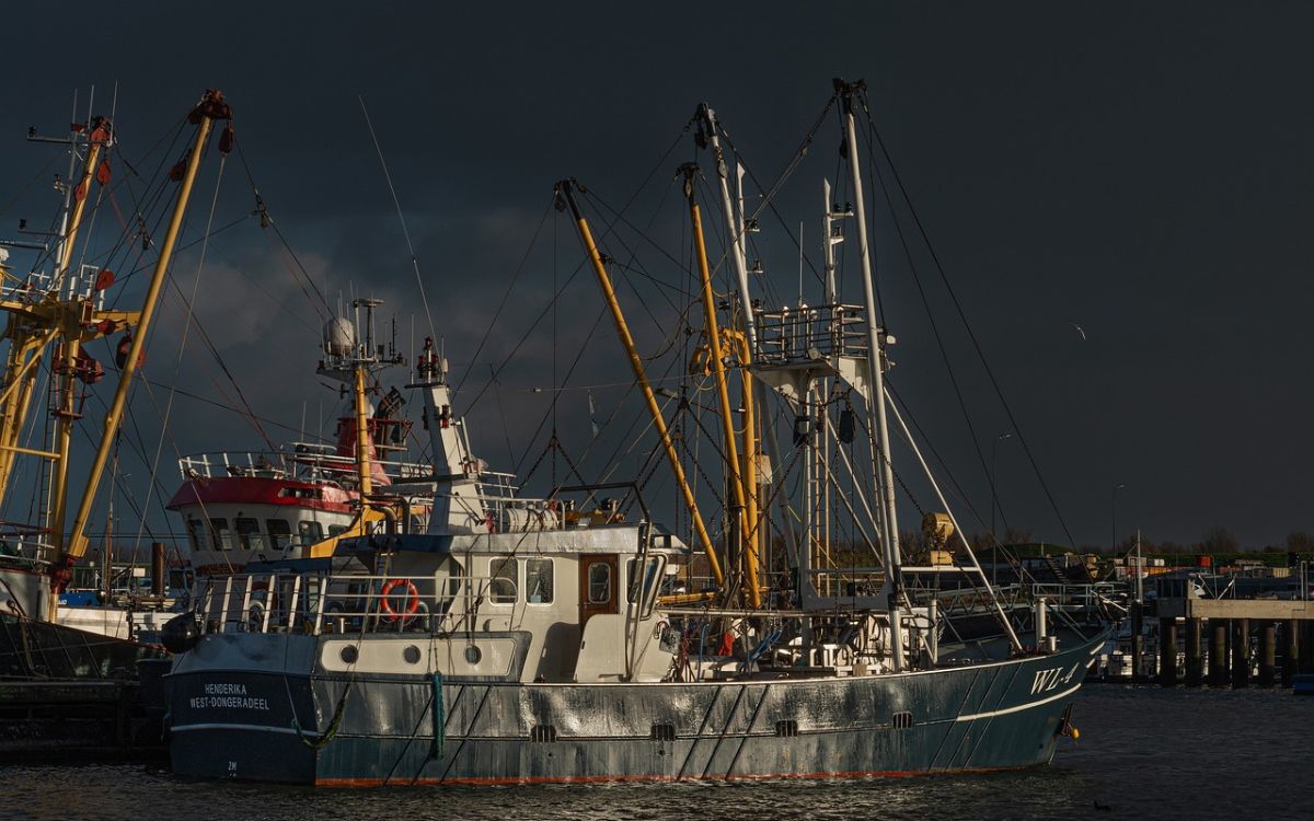 Estados Unidos sanciona a México por pesca ilegal y prácticas dañinas para especies protegidas