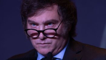 Javier Milei, cuando todo sale mal: David Ordaz