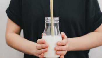 Gripe aviar H5N1: OMS pide cuidar consumo de leche para evitar contagios