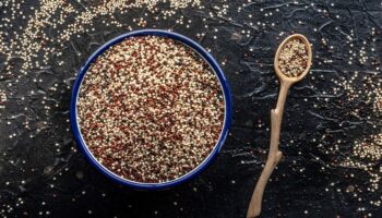 ¿Qué es la quinoa y cuáles son sus beneficios?