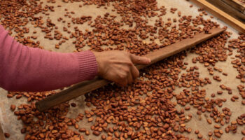 El mercado nacional alimentario; un activo desdeñado | Artículo de Alberto Vizcarra