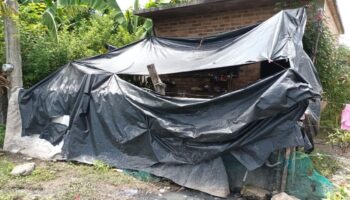 Bajo la tormenta: una familia desplazada por la violencia y el hambre en la Sierra de Huajicori