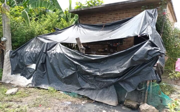 Bajo la tormenta: una familia desplazada por la violencia y el hambre en la Sierra de Huajicori Bajo la tormenta: una familia desplazada por la violencia y el hambre en la Sierra de Huajicori