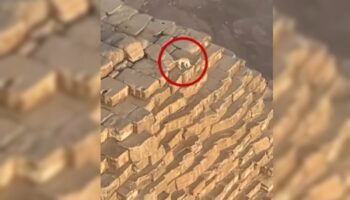 ¿Cómo llegó ahí? Perro se pasea por la cima de la pirámide de Guiza | Video