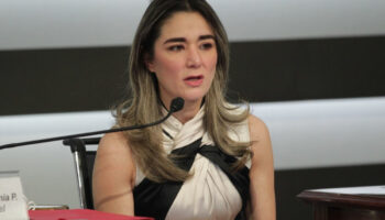 El Consejo General debe ser convocado para discutir la resolución del TEPJ: Dania Ravel