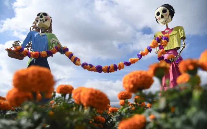 MAPA | ¿Dónde comprar flor de cempasúchil en CDMX?