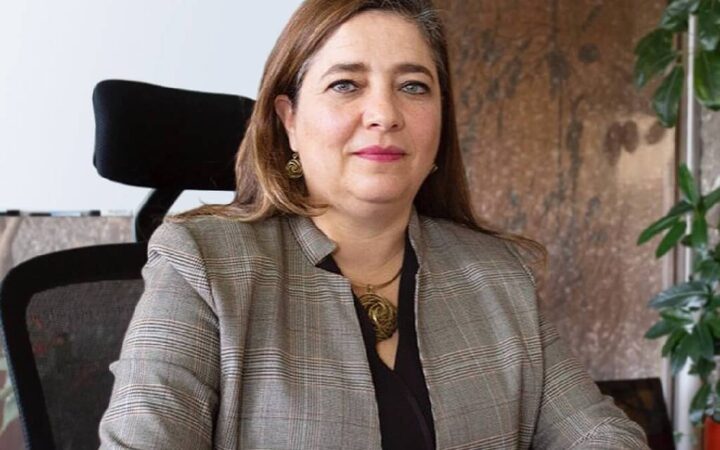 Silvia Giorguli Saucedo, nueva integrante de El Colegio Nacional