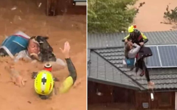 Video | Emotivo rescate de una mujer, su perro y sus gatos atrapados por Dana en Valencia Video | Emotivo rescate de una mujer, su perro y sus gatos atrapados por Dana en Valencia