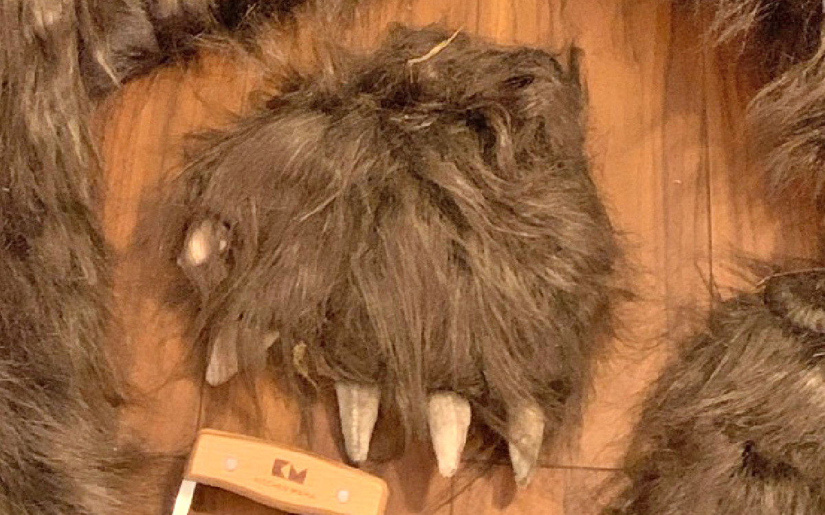 Man in bear costume destroys luxury cars in fraud attempt | Video