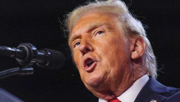 Triunfo de Trump representa amenaza a derechos y victoria de un criminal: especialistas