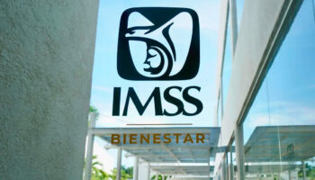 ¿Cómo descargar el registro del IMSS actualizado?