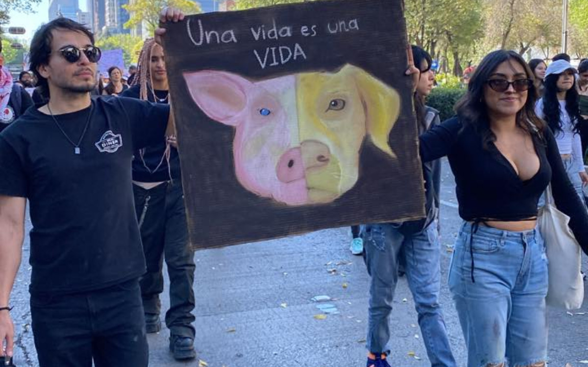 ‘¿Hasta qué animal llega tu empatía?’: Marchan para exigir respeto a todas las especies