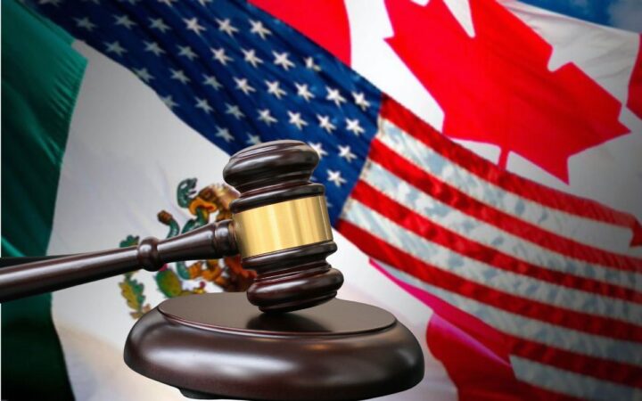 Agencia que sustituye a Cofece e IFT, sí viola el T-MEC: Irene Levy Agencia que sustituye a Cofece e IFT, sí viola el T-MEC: Irene Levy